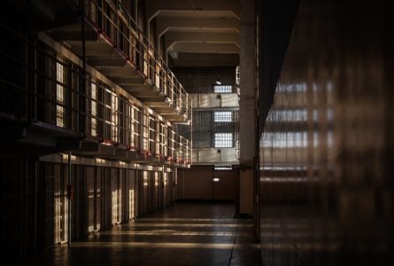 Blog-post